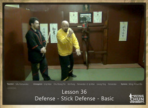 Lesson 36 - Defense - Stick Defense - Basic