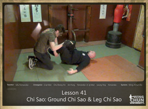 Lesson 41 - Chi Sao - Ground Chi Sao and Leg Chi Sao