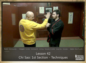 Lesson 42 - Chi Sao - 1st Section - Techniques