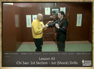 Lesson 43 - Chi Sao - 1st Section - Jut (Shock) Drills