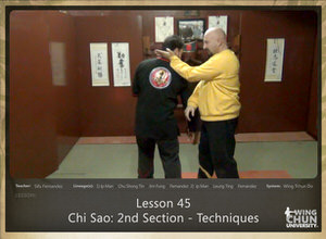 Lesson 45 - Chi Sao - 2nd Section - Techniques