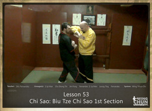 Lesson 53 - Chi Sao - Biu Tze Chi Sao 1st Section