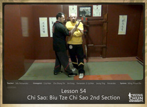 Lesson 54 - Chi Sao - Biu Tze Chi Sao 2nd Section