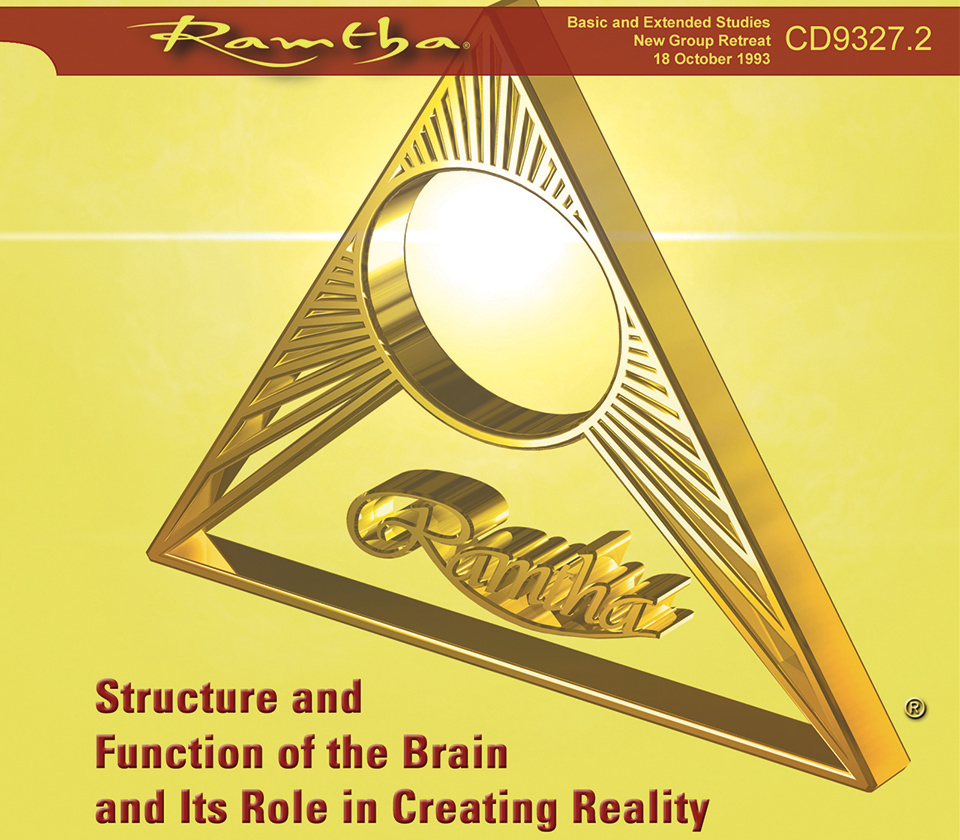 vStructure And Function Of The Brain And Its Role In Creating Reality