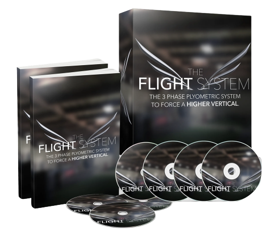 The Flight System