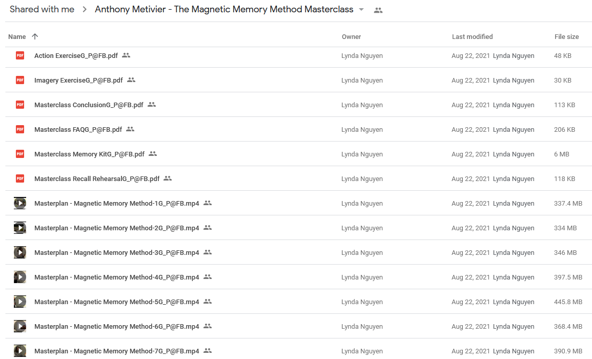 The Magnetic Memory Method Masterclass - Anthony Metivier