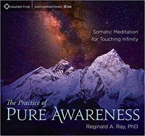 THE PRACTICE OF PURE AWARENESS