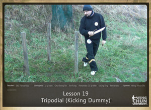 WingTchunDo - Lesson 19 - Tripodial (Kicking Dummy)