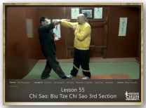 WingTchunDo - Lesson 55 - Chi Sao - Biu Tze Chi Sao 3rd Section