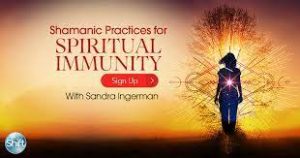 Sandra Ingerman - Shamanic Practices for Spiritual Immunity