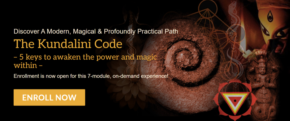 Raja Choudhury - The Kundalini Code