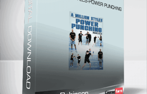 Barry Robinson – A Million styles-Power Punching