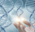 Designing Your DNA – Home Study – Julie Renee