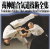 The Complete Set of Techniques – Aikido Yoshinkan