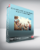 Sigh Energy – Social Popularity Booster Powerful Plus +11x(extra Strong)